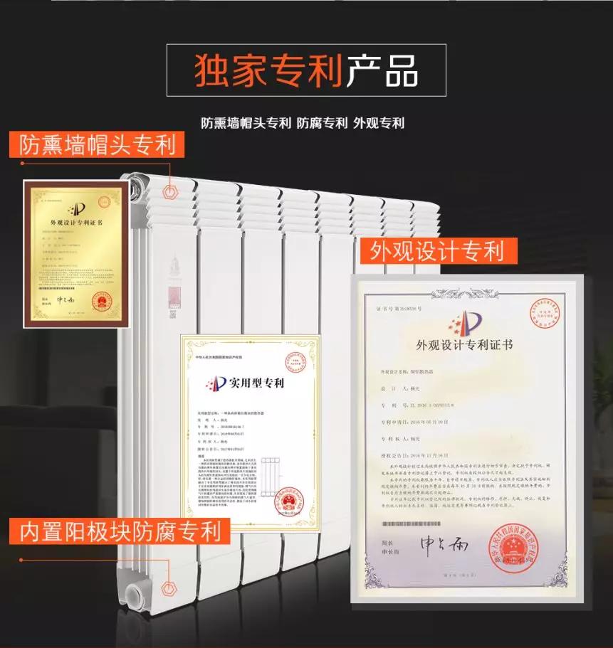 拓路前行，领跑未来：九游娱乐洛阳新品推介会圆满结束！